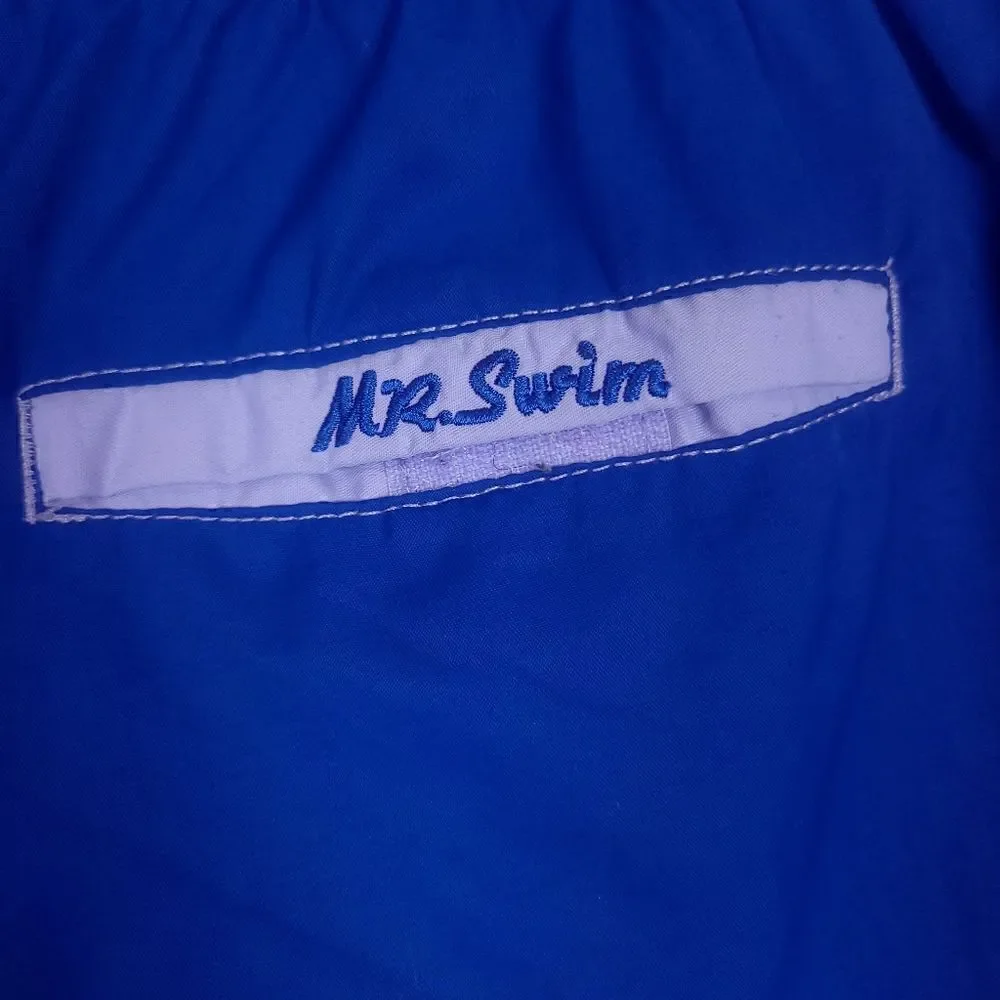 Vintage Mr. Swim Swim Trunks Blue Purple Colorblock Size Large